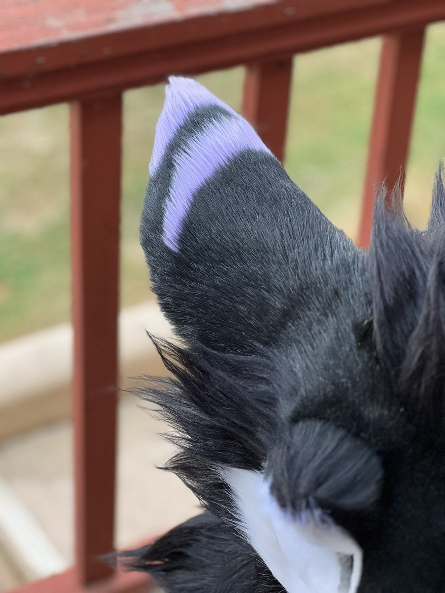 Gonna be slowly posting the final shots of this guy! #sergal #sergalfursuit