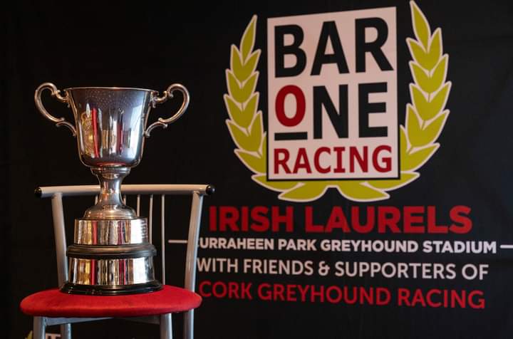 JoeSeward1's tweet photo. Another one of the main Ante Post fancies
for the 2024 @BarOneRacing
Irish Greyhound Laurels CRAFTY SHIVOO justified 4/7 favouritism in Heat 3 also by 7L in 28.36
The Droopys Sydney Progeny win H1 & H3
#ThisRunsDeep
#CorkDogs
#GoGreyhoundRacing https://t.co/JNAQ3tYc6r