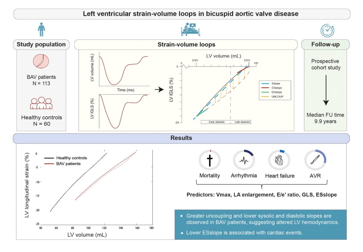 EHJ-IMP Editor-in-Chief (@ehjimpeic) on Twitter photo How well you know the cardiomechanics of BAV ? Greater uncoupling and lower systolic and diastolic slopes were observed in BAV patients compared with healthy controls as proven by this #EHJIMP manuscript ā”ļø academic.oup.com/ehjimp/article⦠<a href="/ESC_Journals/">European Society of Cardiology Journals</a> <a href="/escardio/">European Society of Cardiology</a> <a href="/alessia_gimelli/">Alessia Gimelli</a> How well you know the cardiomechanics of BAV ? Greater uncoupling and lower systolic and diastolic slopes were observed in BAV patients compared with healthy controls as proven by this #EHJIMP manuscript ā”ļø academic.oup.com/ehjimp/article⦠<a href="/ESC_Journals/">European Society of Cardiology Journals</a> <a href="/escardio/">European Society of Cardiology</a> <a href="/alessia_gimelli/">Alessia Gimelli</a>