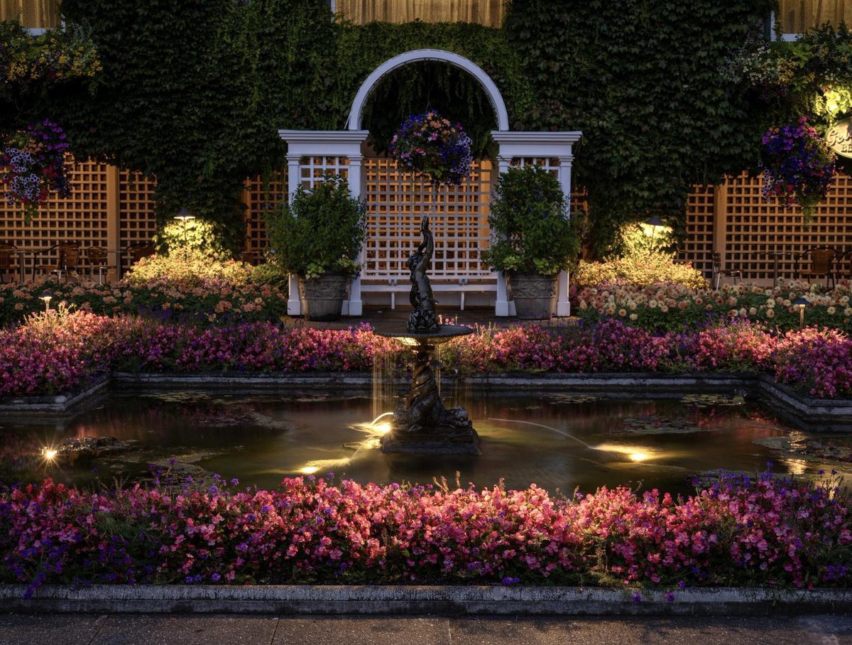 Gardens_BC's tweet photo. Don’t miss the final week of Night Illuminations at The Butchart Gardens! Over 3,000 soft lights make the garden glow from dusk until dark, Wednesday through Sunday evenings until September 15th ✨

#TheButchartGardens #exploreVictoria #exploreVI #exploregardensbc #GardensBC https://t.co/O2KoWUaVgz