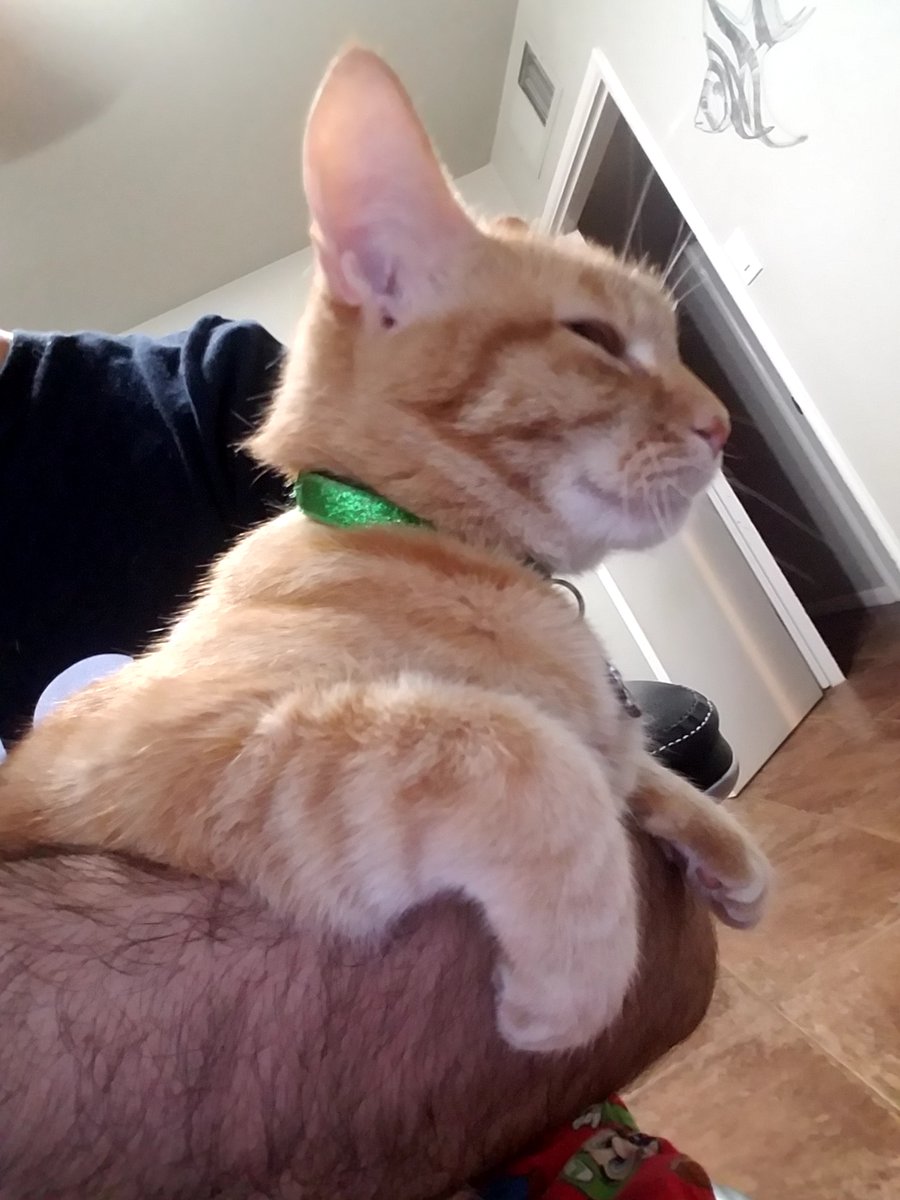 Carl_Sagan42's tweet photo. Today I said goodbye to one of the best companions I have ever known. Here are some of my favorite memories with Ruby throughout the years. Please don't forget to spend time with those you love <3 https://t.co/Si9zxR8Azr