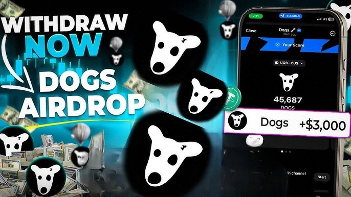 x_201908's tweet photo. Airdrop $DOGS

👉️ https://t.co/f6rVfe5Akw https://t.co/qdDdN4wGwK