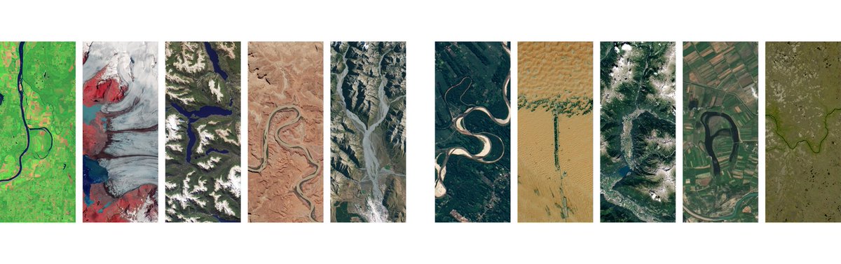 Berry Straw 🍓 tweet media