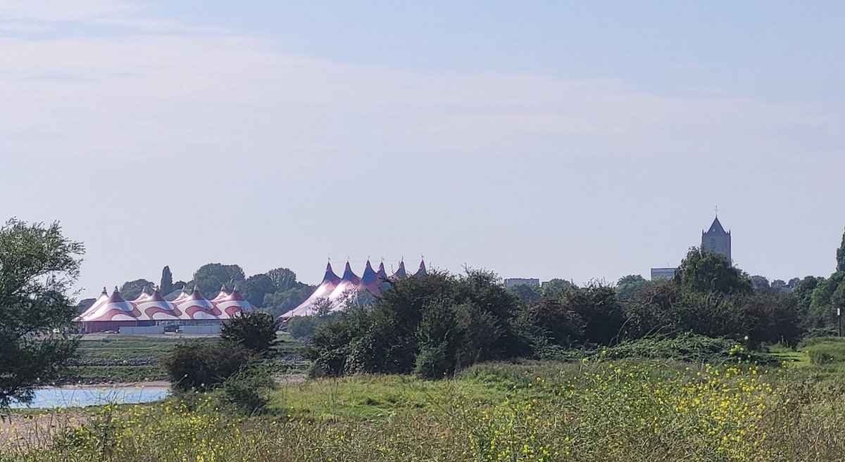 De tenten staan er weer. Volgend weekend weer het gezellige gratis toegankelijk #appelpop <a href="/AppelpopTiel/">Appelpop Tiel</a>