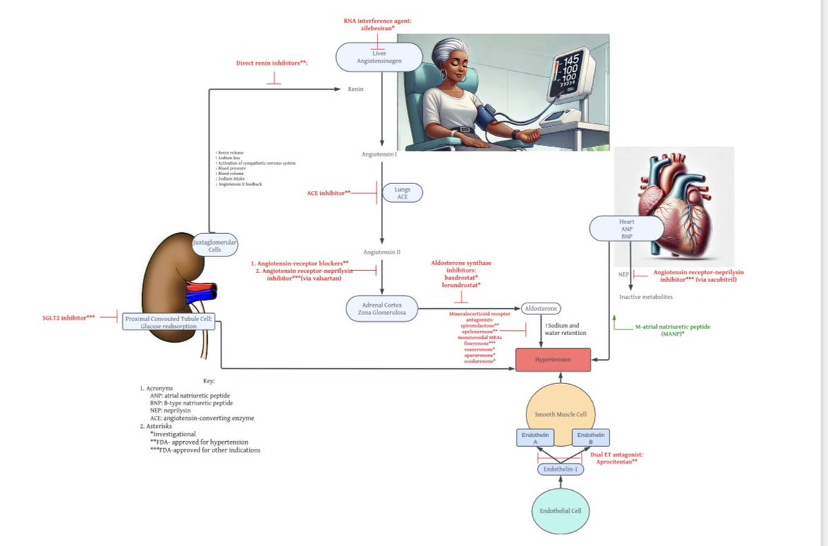 Tina Reddy, MD, MPH (@tinakreddy) on Twitter photo Thrilled to share our article, "Tackling the Disproportionate Burden of Resistant Hypertension in US Black Adults."
📎 rdcu.be/dTiDt
Â
And it's my *first* first-author paper! BIG thank you to <a href="/kcferdmd/">Keith C. Ferdinand, MD, FACC, FAHA, FNLA</a> for your mentorship and the opportunity. Thrilled to share our article, "Tackling the Disproportionate Burden of Resistant Hypertension in US Black Adults."
📎 rdcu.be/dTiDt
Â
And it's my *first* first-author paper! BIG thank you to <a href="/kcferdmd/">Keith C. Ferdinand, MD, FACC, FAHA, FNLA</a> for your mentorship and the opportunity.