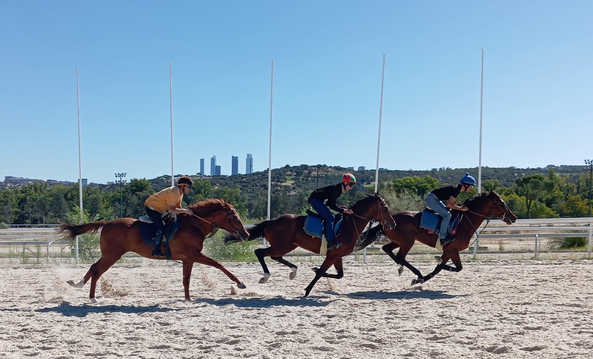 Fernando Perez (@killoturf) on Twitter photo Los bebés de la cuadra preparando la temporada de otoño de <a href="/HipodromoMadrid/">Hipódromo de La Zarzuela</a>
🏇Bayard,Konfussion,Ivory. Los bebés de la cuadra preparando la temporada de otoño de <a href="/HipodromoMadrid/">Hipódromo de La Zarzuela</a>
🏇Bayard,Konfussion,Ivory.