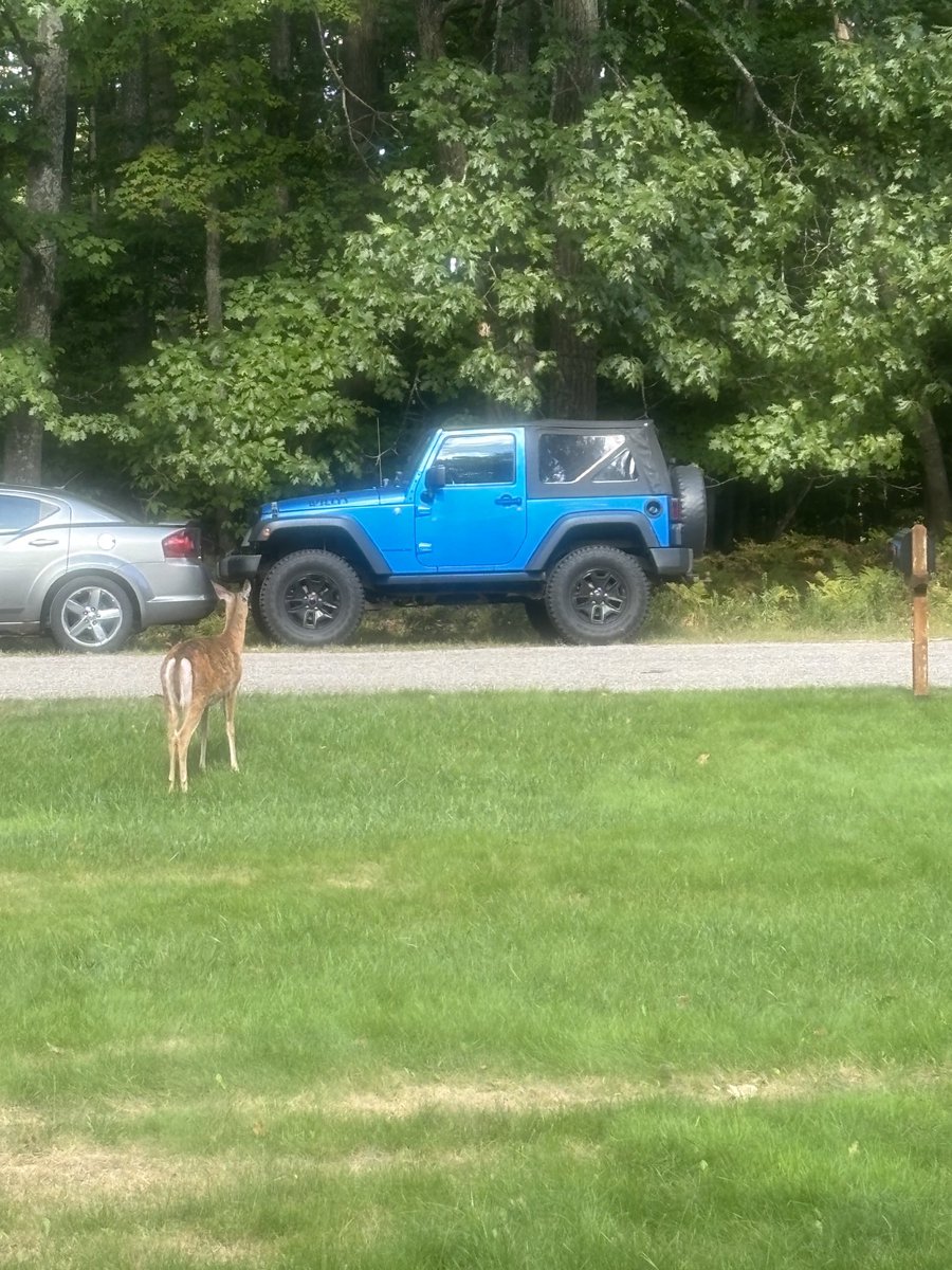 She thinks my jeep is sexy.