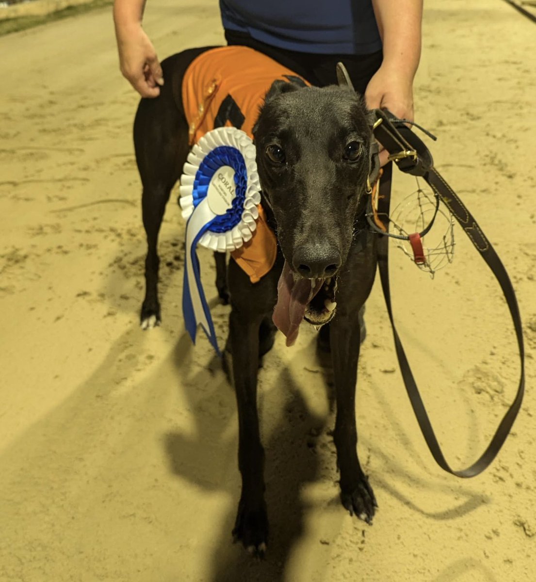 RomfordDogs's tweet image. ⭐️Winner of Race 8 - Romford Saturday 7th September 2024 

🥇Trap 5 - DA YOUNG LAD 

Trainer🏆- David Mullins 
Owner(s)🐾- Ten Percent Club

Congratulations to Connections!💕