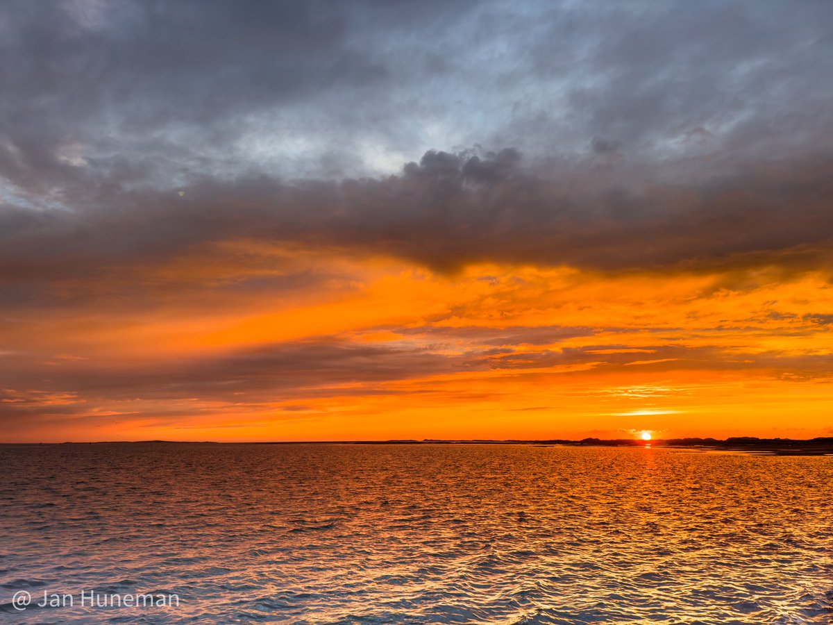 Waddenfotografie (@janhuneman) on Twitter photo 