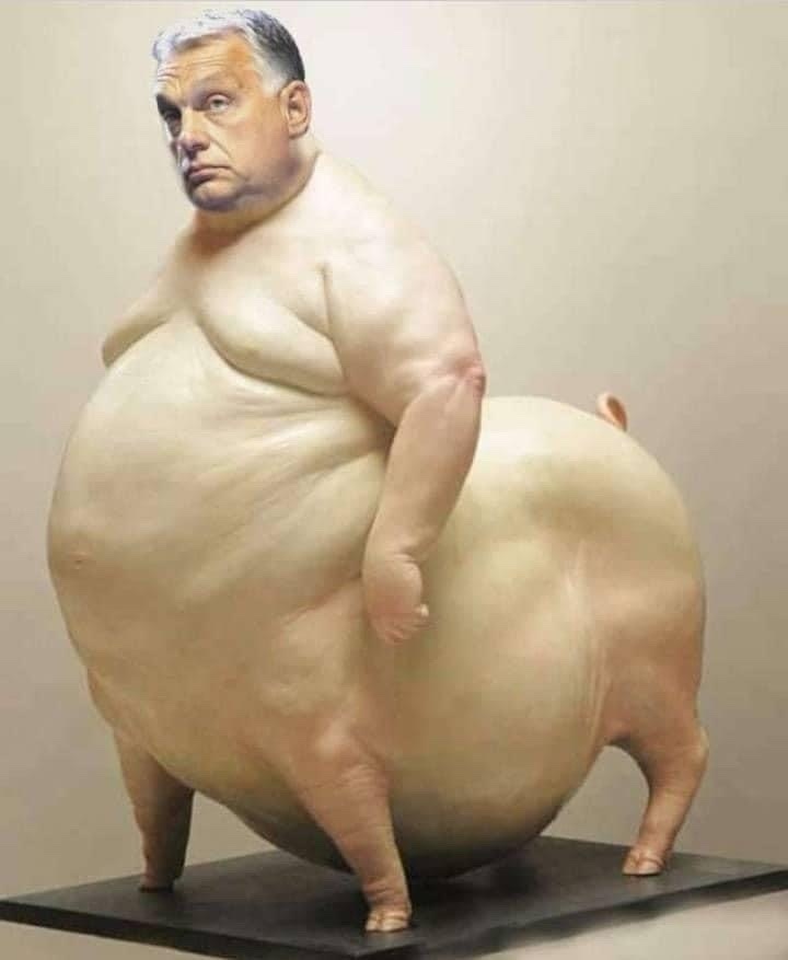 ZsVrg's tweet photo. @NhazeINhaze @SzabadonMagyar @PM_ViktorOrban https://t.co/cozHvxSUy4