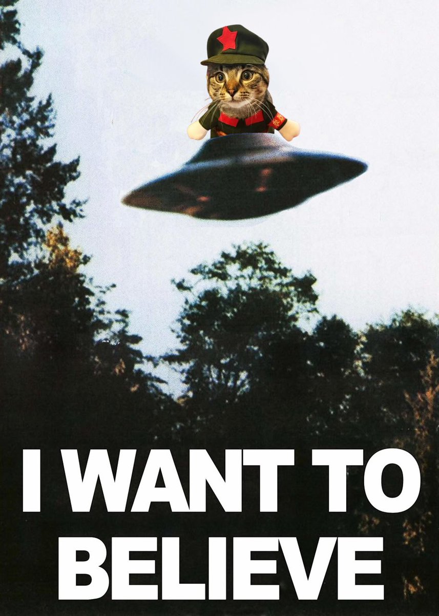 BELIEVE in something...BELIEVE IN $CMEOW 💚😺📝