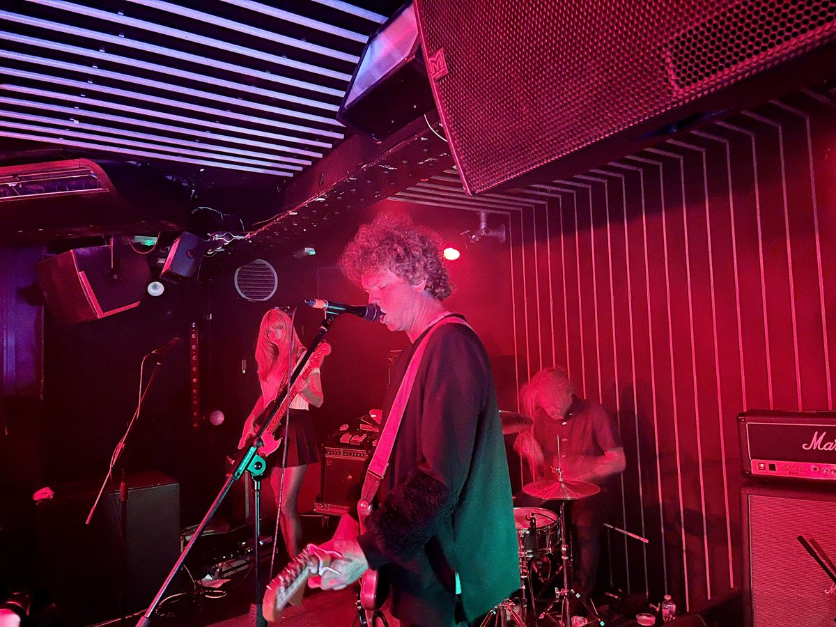 David Gedge tweet media