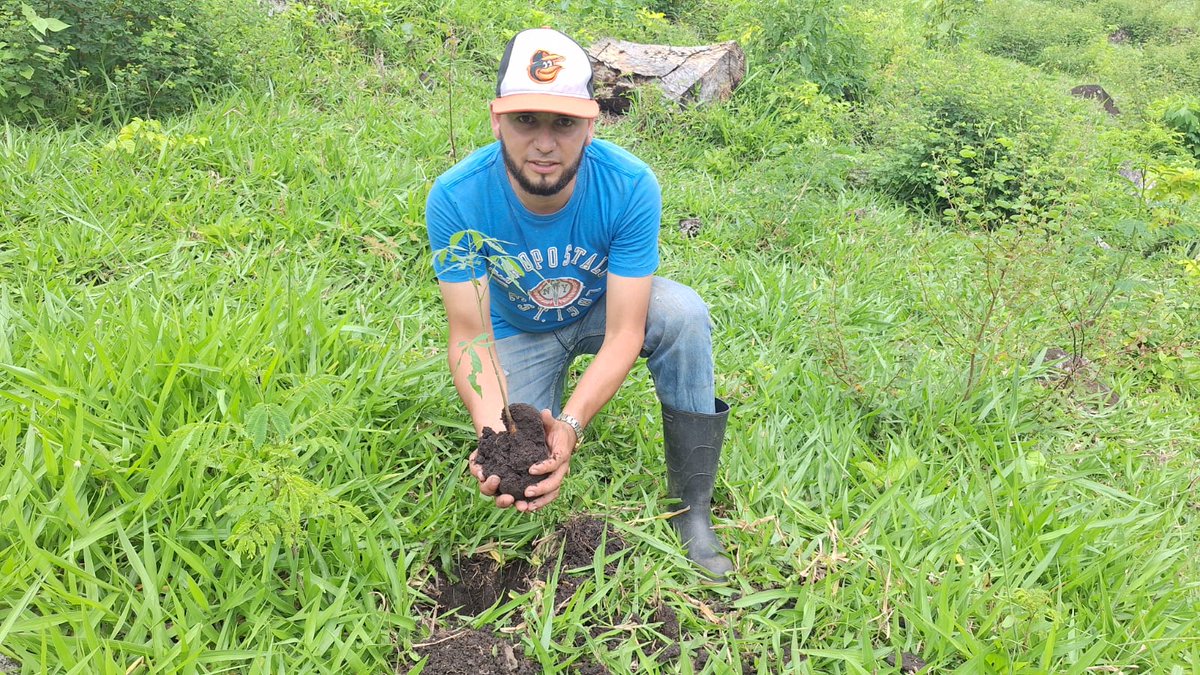 MarenaNicaragua's tweet photo. Realizamos jornada de reforestación, en la propiedad del Cro. Andrés Ramírez, ubicada en la Reserva Natural Cerro Cumaica - Cerro Alegre, comunidad La Laguna, municipio de San José de los Remates - Boaco.
#AmorAlaMadreTierra
#GEF5
#MARENA https://t.co/U7LQcb0YYe