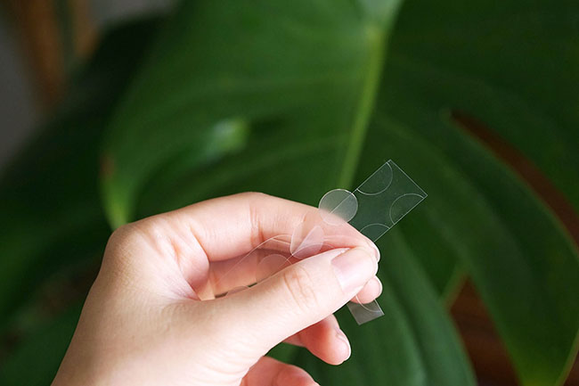 Rae Chen tweet media