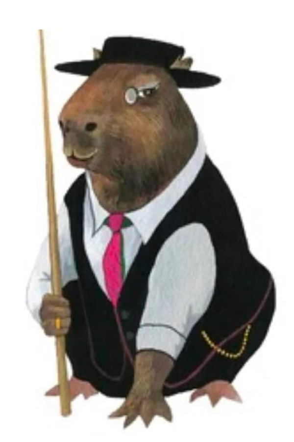 Capy Finance tweet media