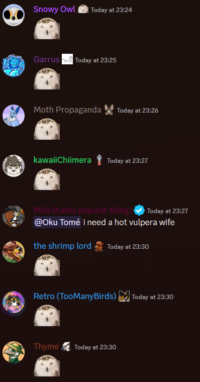 No Context Bird Empire (@birdemp_moment) on Twitter photo 