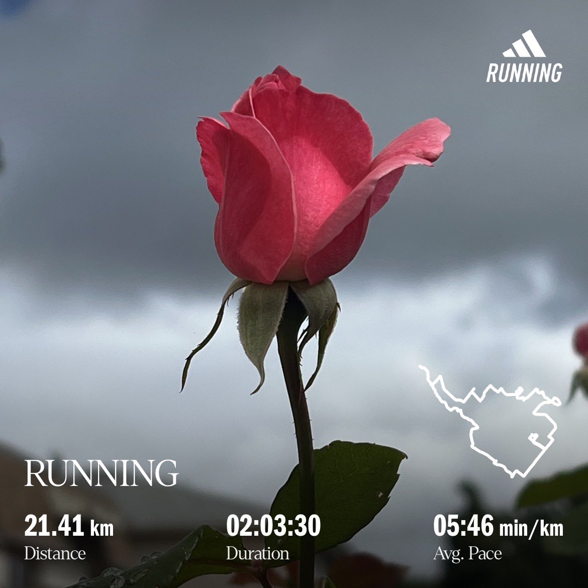 kunrup's tweet photo. September half marathon ✅. Tried to pace evenly throughout the race.This one felt good as I didn’t exhaust myself and slowed a lot at first.
#brampton #etobicokecreektrail #positivity #positivevibes #halfmarathon #roses #smile #happy #stayactive #staymotivated #marathonbound https://t.co/OCWJpbmNvq