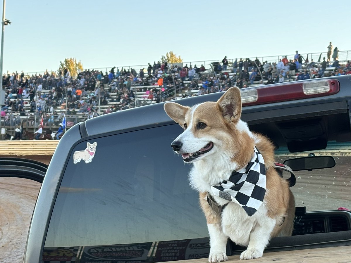 PushCorgi's tweet image. All smiles and ready for the #Tuscarora50 here at @PortRoyalSpdway #speedpalace 😁🐾🏁