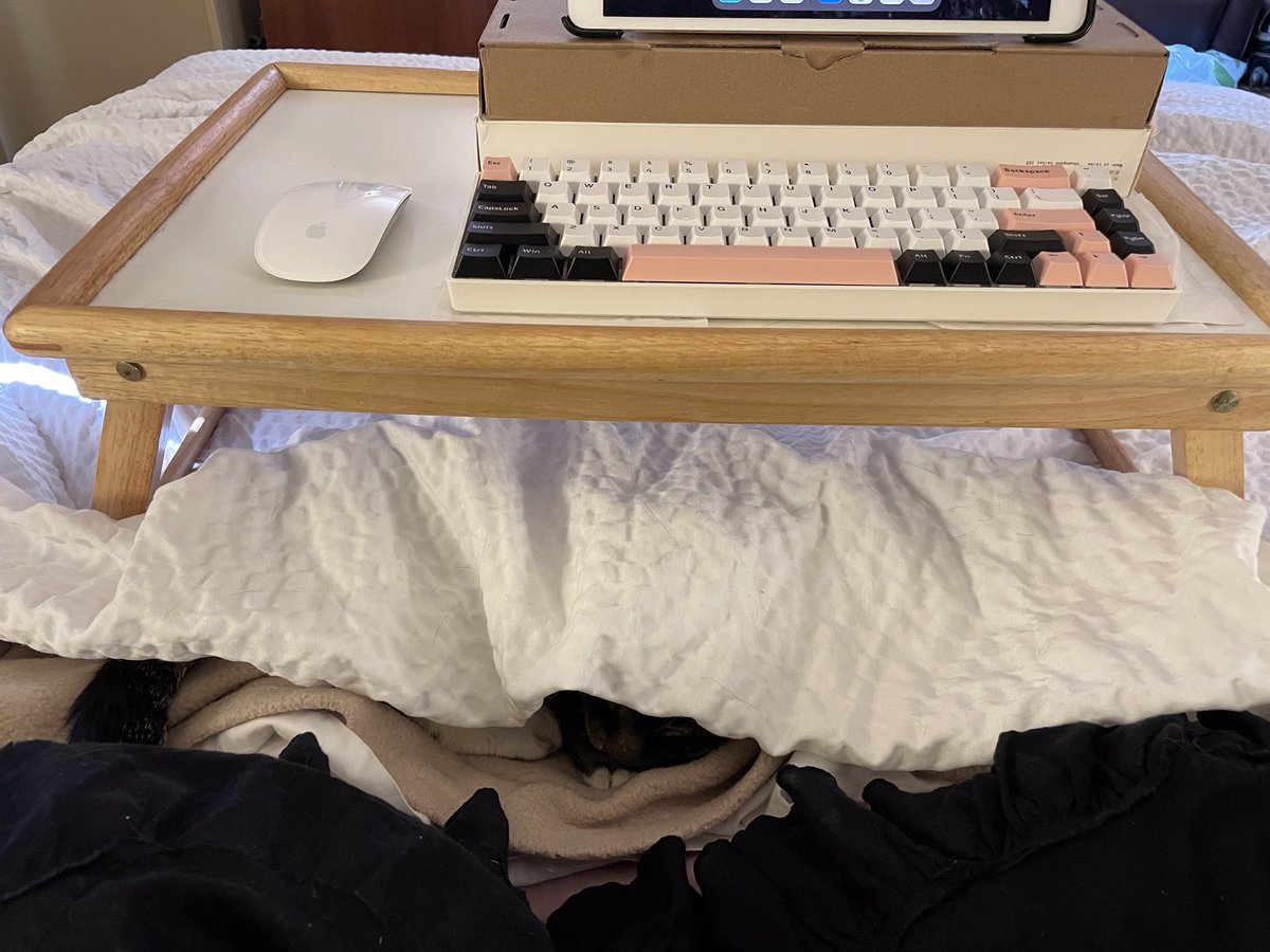 Alex_S_Morgan's tweet photo. The ideal work-from-bed setup (for certain kinds of work):

• Breakfast tray
• Tablet (iPad Pro from 2017—still kicking!)
• Wireless mouse + keyboard (latex-free keyboard built with care by my awesome ex-housemate)
• Hidden kitten (heating pad + sentient reminder system) https://t.co/Od0vRAw2XN