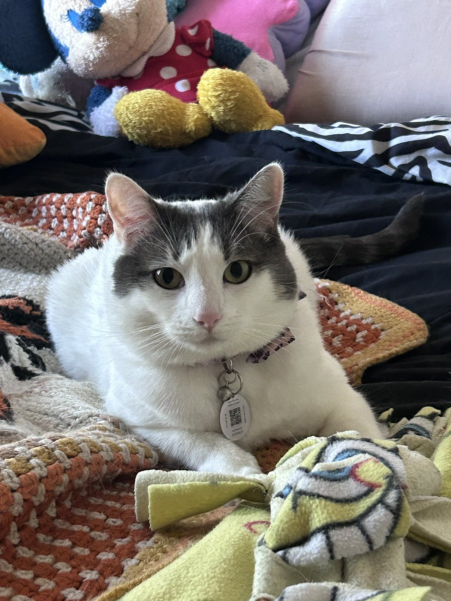 Content from garfgrrrl