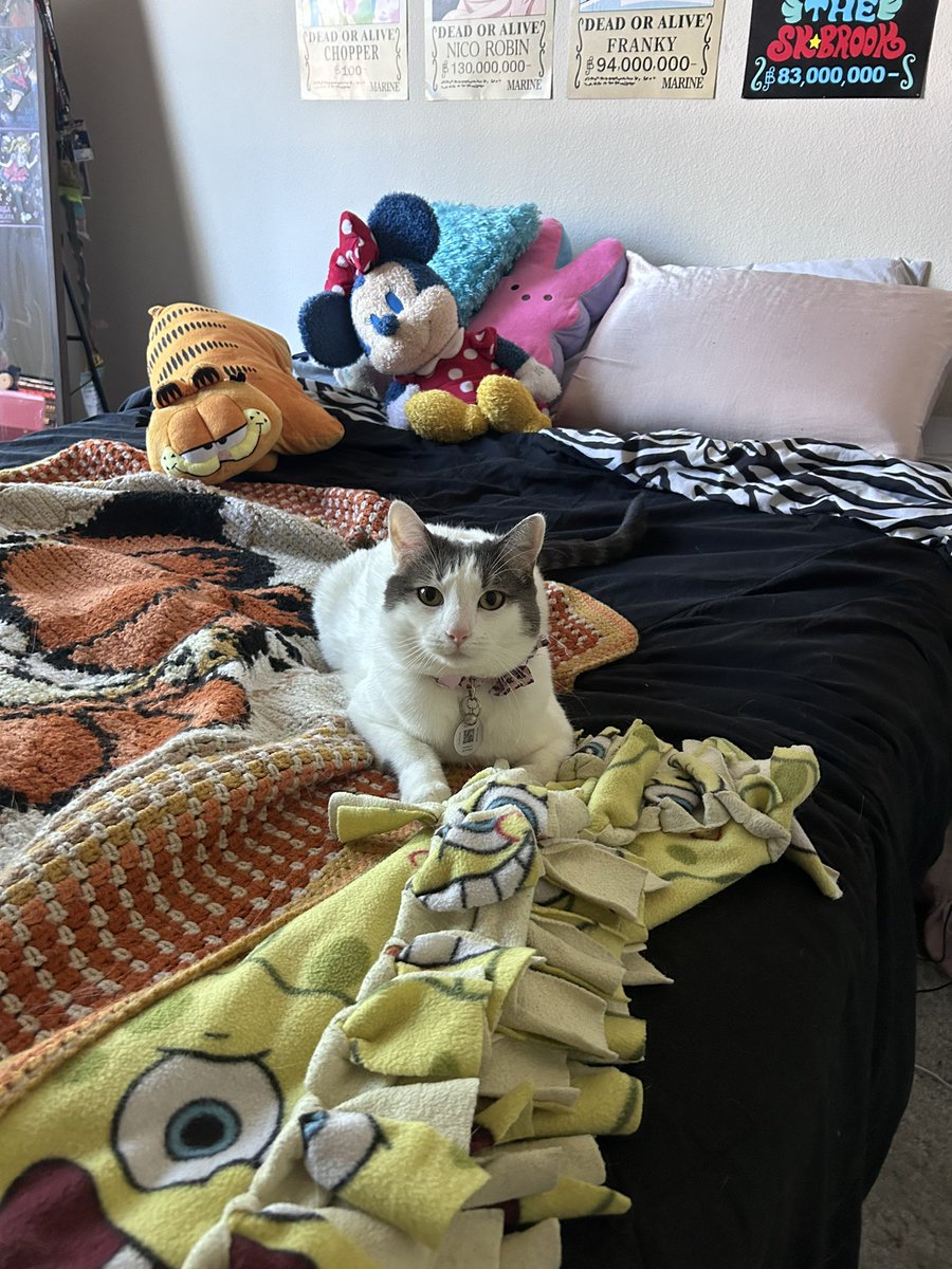 Content from garfgrrrl