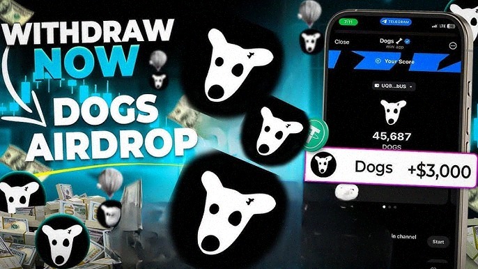 InbedFreaky's tweet image. Received DOGS tokens in my wallet—this project keeps exceedinng expectations!

👉️ youtube.com/watch?v=_kI-nl…