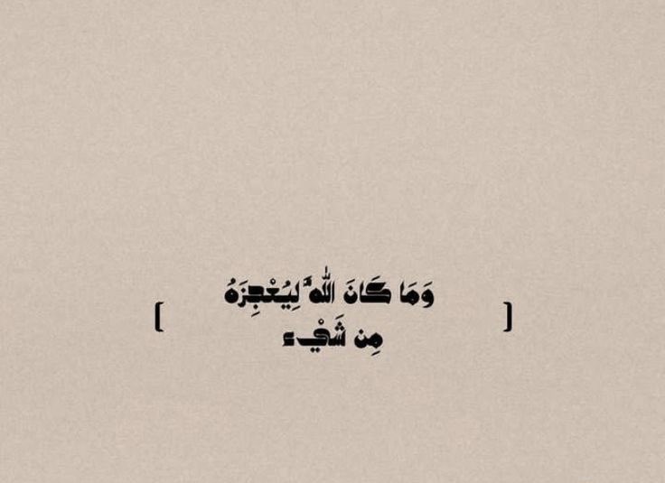 أروى tweet media