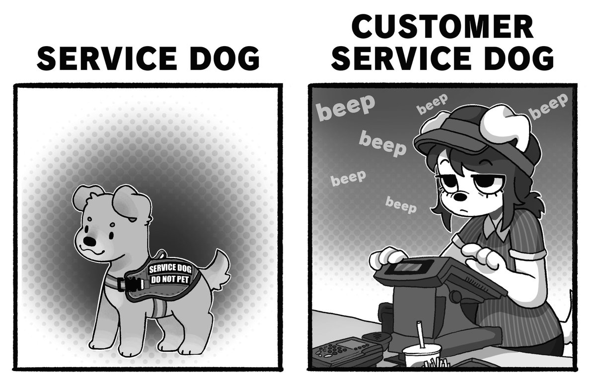 service dogs