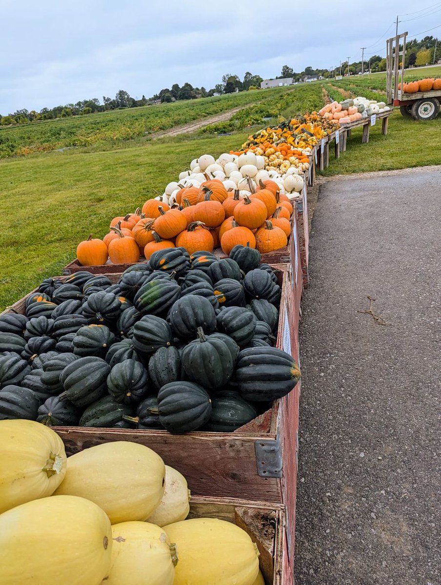 FranksKitchen's tweet image. End of Summer... #freshproduce #farmtotable #fallcoming #endofsummer
fkrestauranttoronto.com