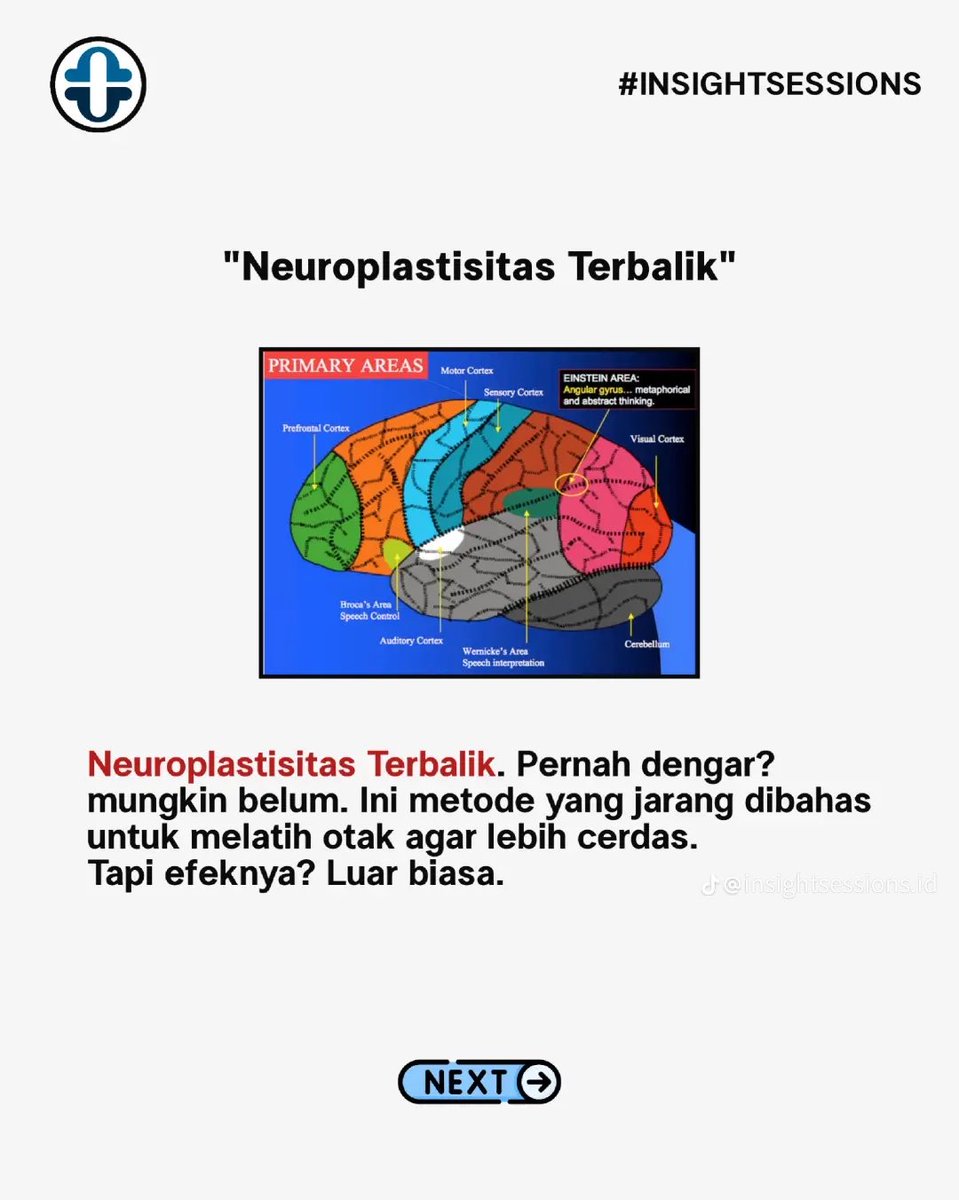 _herun07's tweet photo. Singkatnya, neuroplastisitas adalah kemampuan otak untuk mengubah struktur dan fungsi-nya sepanjang hidup seseorang. 

Ini berarti otak bisa belajar hal-hal baru, menyesuaikan diri dengan pengalaman, dan bahkan pulih dari kerusakan. Jadi, setiap kali kamu belajar sesuatu yang baru atau mengulangi suatu kegiatan, otakmu sedang berkata, "Oh, kamu suka ini ya? Baiklah, aku akan membuat jalur khusus untuk itu!" 

Bayangkan otakmu seperti kota yang terus-menerus membangun jalan baru, menutup jalan lama, dan mengatur ulang lalu lintas. 

Neuroplastisitas adalah alasan mengapa kamu bisa berhenti merokok, belajar bahasa baru, atau bahkan mengapa kamu bisa menjadi lebih baik dalam bermain gitar. Otakmu adalah seorang arsitek yang sangat fleksibel, tapi kadang-kadang bisa agak lambat dalam menangkap tren terbaru!