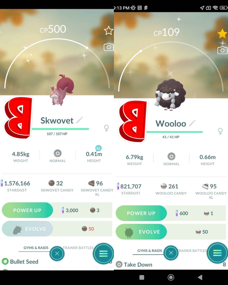 ✨BOZA Pokemon Go✨ tweet media