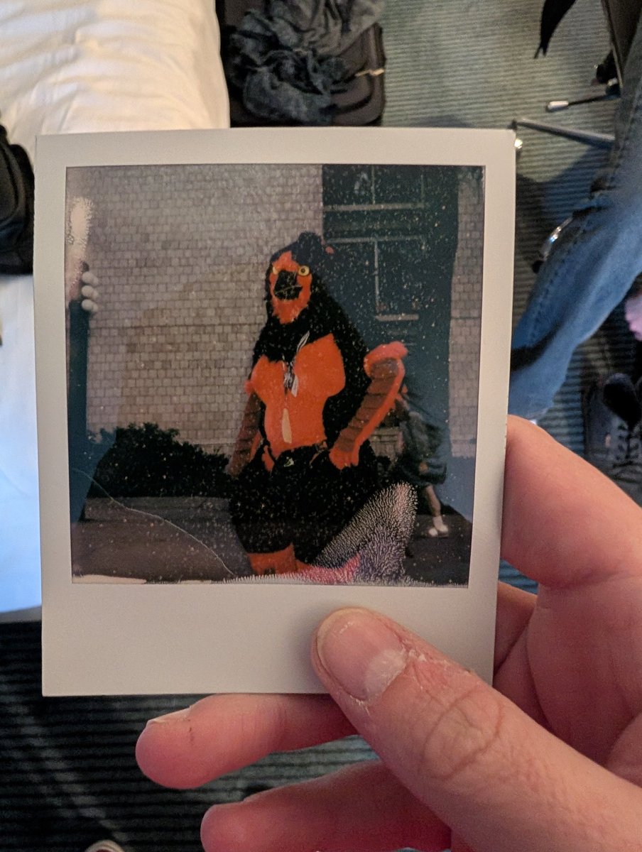 BadaZebra's tweet image. Thank you random stranger who gave me this utterly phenomenal Polaroid