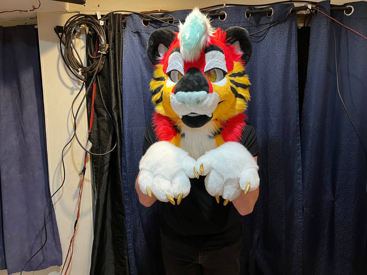 I would like to introduce you guys to blaze the tiger 🐅 💛❤️💛❤️