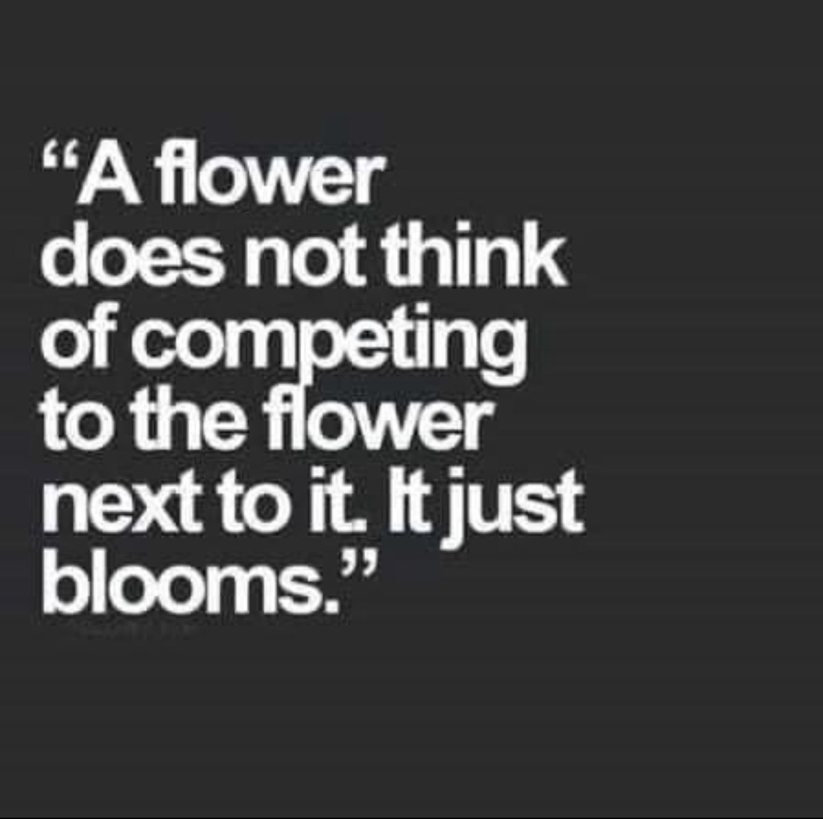 SwansonRodney's tweet photo. #ThinkBIGSundayWithMarsha #JustBloom https://t.co/0NGVv5gAyr