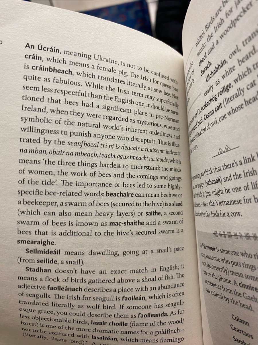 @OwenRCorbett <a href="/theirishfor/">The Irish For</a> #motherfocloir