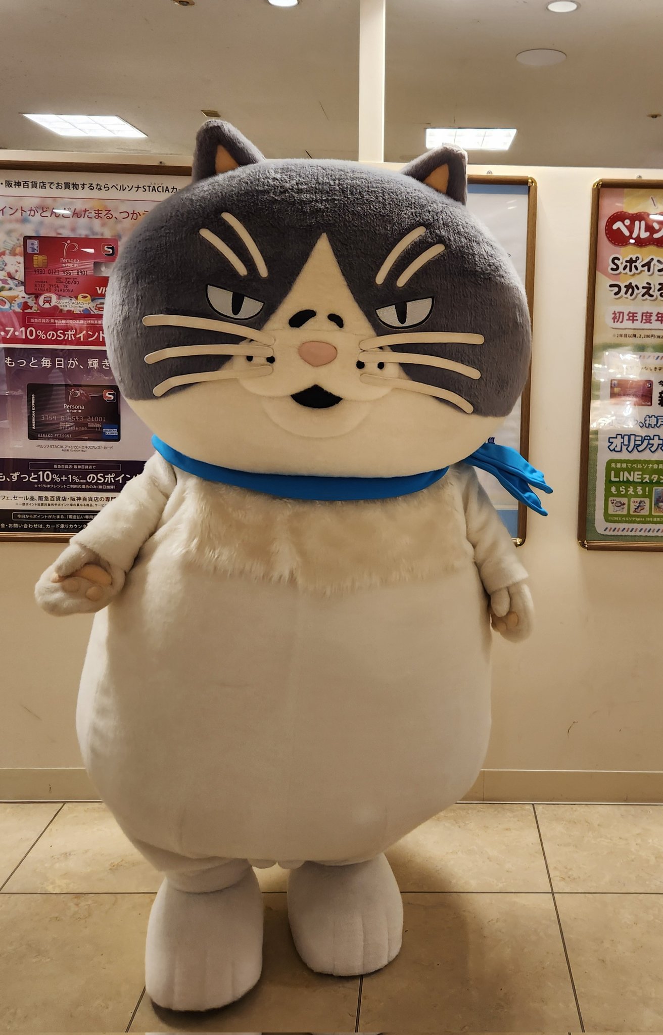 HIKOSEN CARA（公式） (@cara_shop) / X