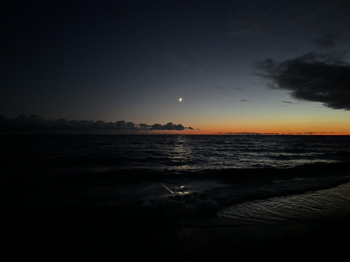 okresepuff's tweet image. 