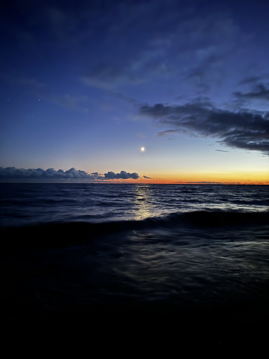 okresepuff's tweet image. 