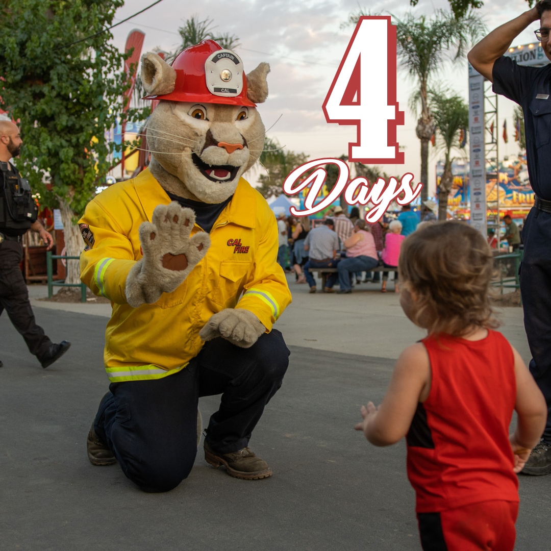 Who's ready for FAIR FUN?🥳
We're just FOUR days away from 'Stars, Stripes and Honoring Our Heroes'!🇺🇸
Still looking for pre-sale admission tickets or carnival wristbands? Head on over to tcfair.org/tickets TODAY!🎟️