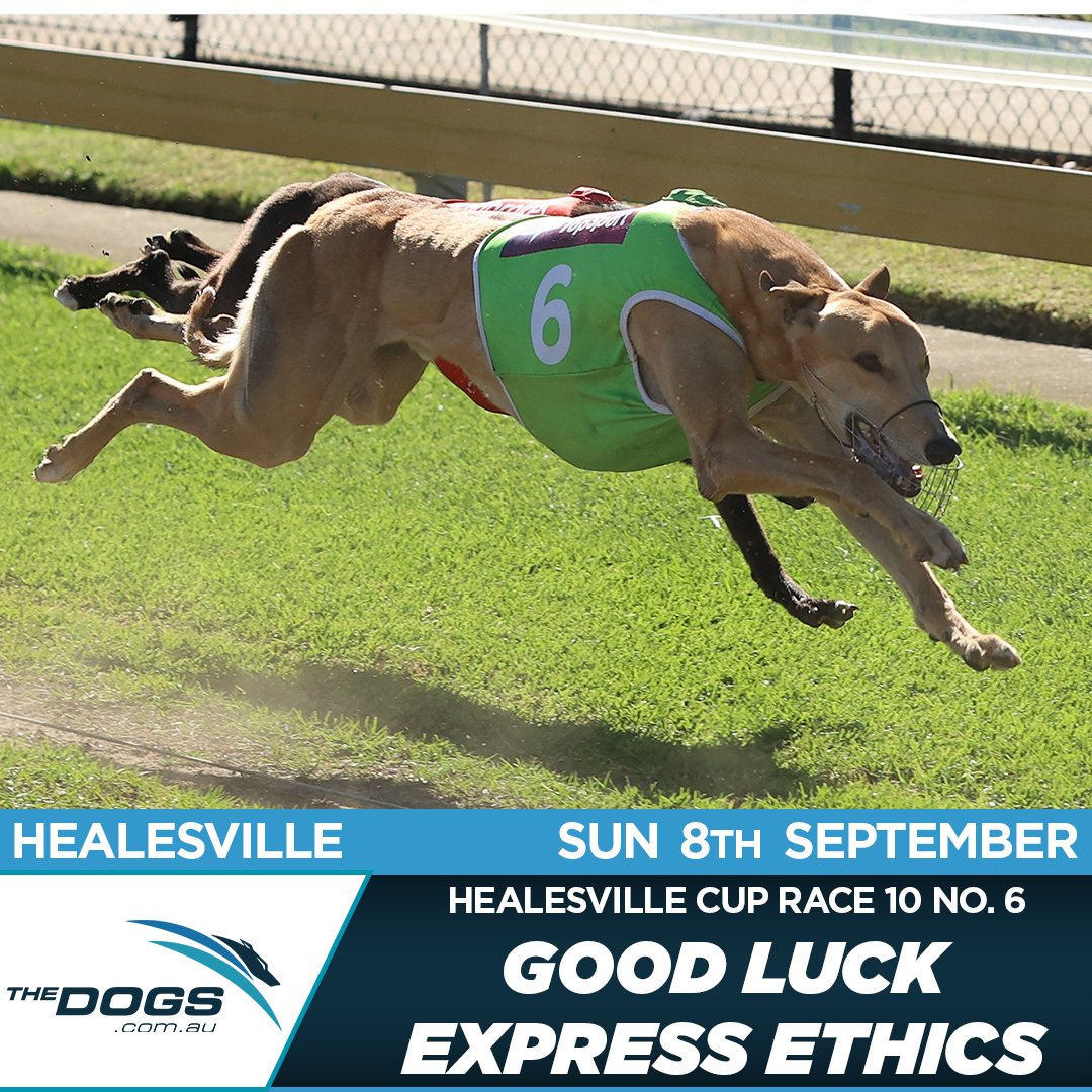 The Dogs (@thedogs_com_au) on Twitter photo π Good luck to Express Ethics, who is repping NSW in the <a href="/sportsbetcomau/">Feed Nation x Sportsbet</a> <a href="/HVLGreys/">Healesville Greyhounds</a> Cup Final this afternoon! π
Form: thedogs.com.au/racing/healesvβ¦
#thedogs #greyhoundracing #greyhounds π Good luck to Express Ethics, who is repping NSW in the <a href="/sportsbetcomau/">Feed Nation x Sportsbet</a> <a href="/HVLGreys/">Healesville Greyhounds</a> Cup Final this afternoon! π
Form: thedogs.com.au/racing/healesvβ¦
#thedogs #greyhoundracing #greyhounds