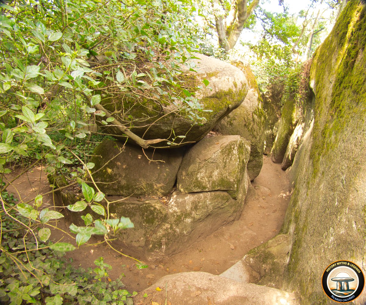 Ricardo Calvário - History Myths & Legends tweet media