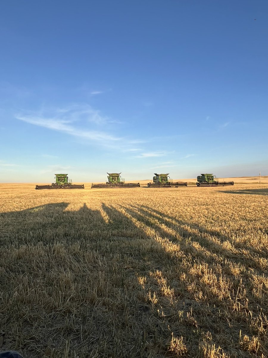On the last field at home! Back on the road Monday. #harvest24