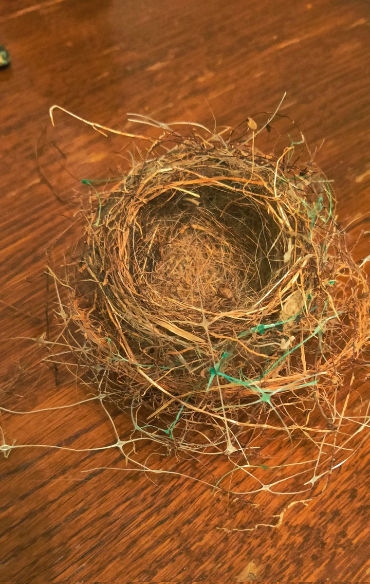 I found the most precious, t-tiny nest laying in our front yard. So many materials used...a true masterpiece!