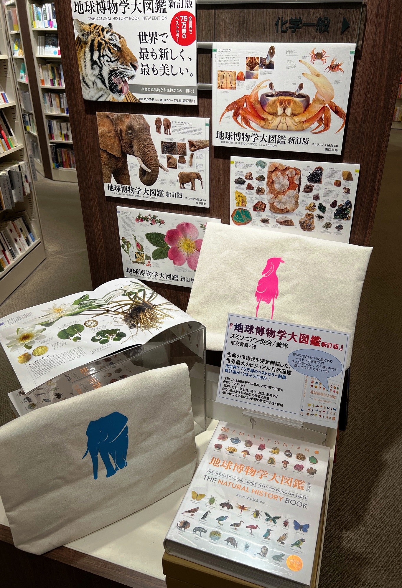 ブックファースト新宿店 on X: 
