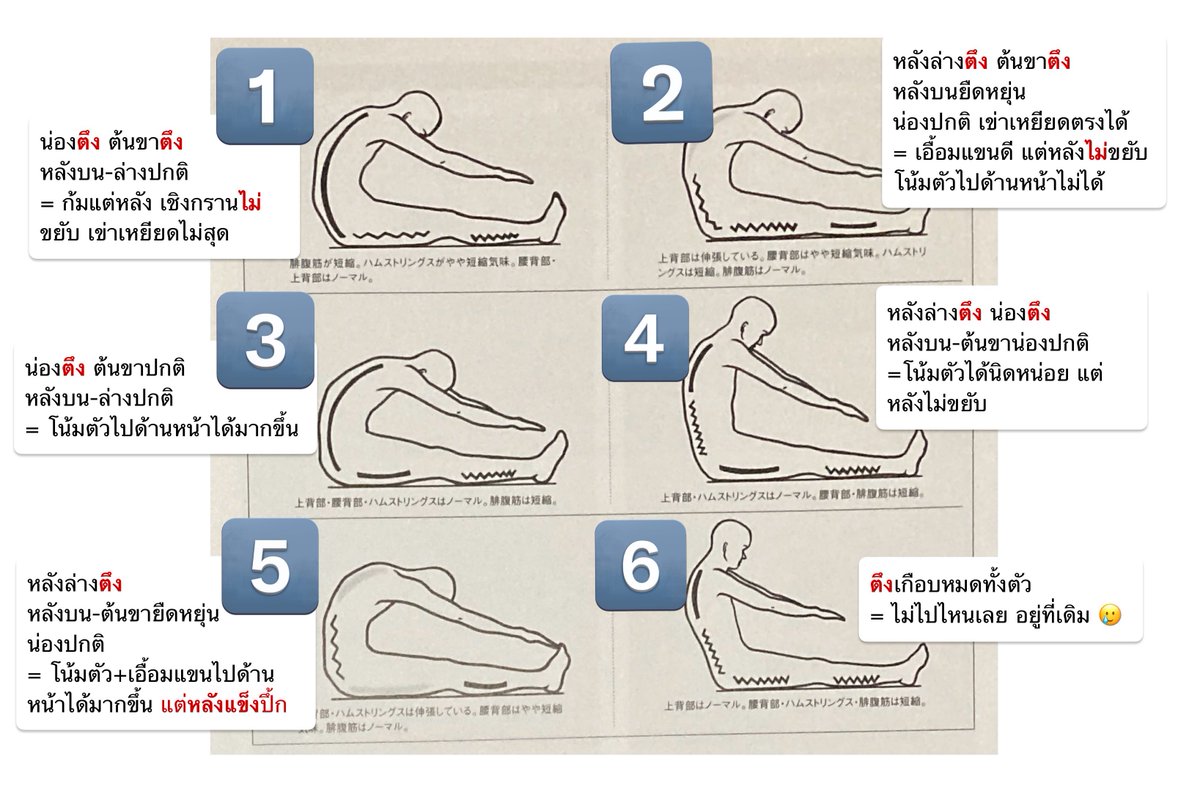 กายภาพตัวอ้วน (chubbyphysio) tweet media