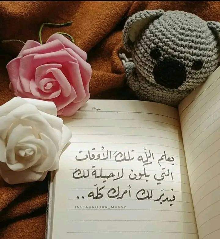 🌷 سُبحان من نحنُ بدونه لسنا بشيء وبـه كل شيء  💞