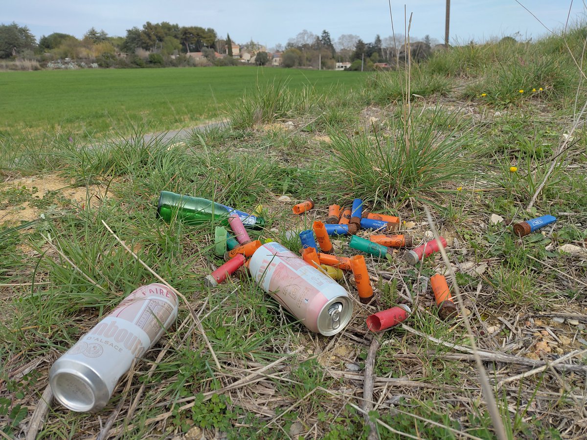 SeoFred34's tweet photo. Et ça pétarade à nouveau au loin ce matin dans la campagne périphérique de #Monpellier.
Les gros cons frustrés tirent leurs coups sans discontinuer après des mois d'abstinence, et en laissant sans doute pour la plupart leurs déchets sur place
,#ouvertureChasse #Chasse https://t.co/9BRQwZ84Y8