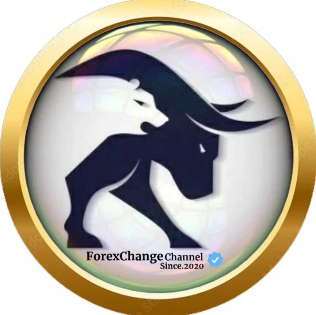 CryptoForexZone's tweet image. #NewProfilePic