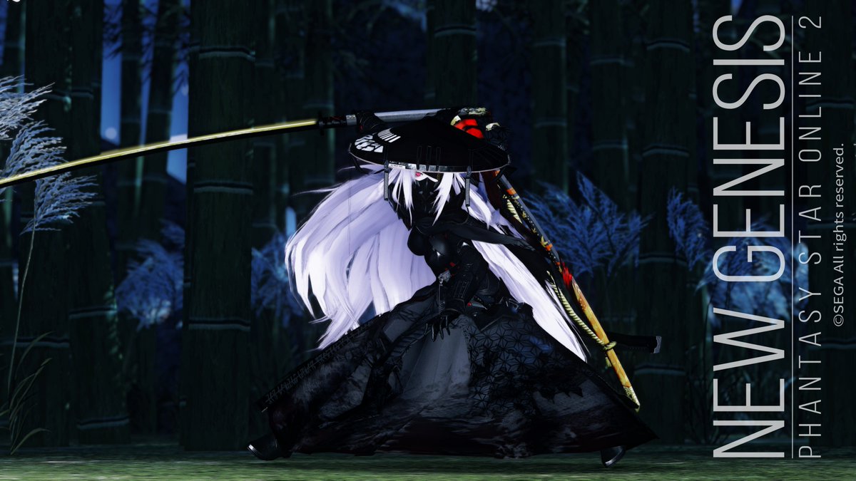 アクセ買ったら何故かメセタが無くなった…。不思議だなぁ
#PSO2NGS_SS