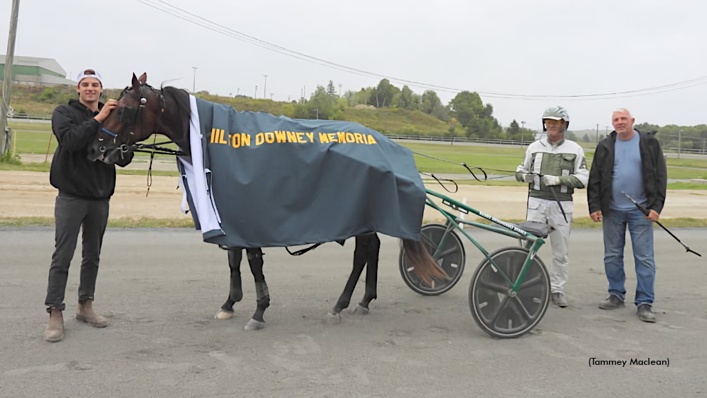 Stakes action at Connell Park in Woodstock, N.B. resulted in multiple two-year-old track records, with One Wicked Man (pictured) etching his name in the record books with his Milton Downey Memorial score →  tinyurl.com/29ol6xqe #harnessracing